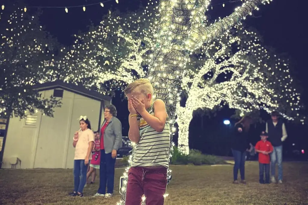 Lights of the Season