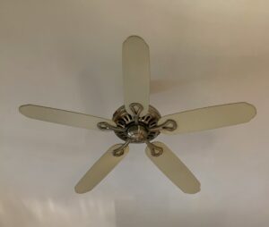 Ceiling fan